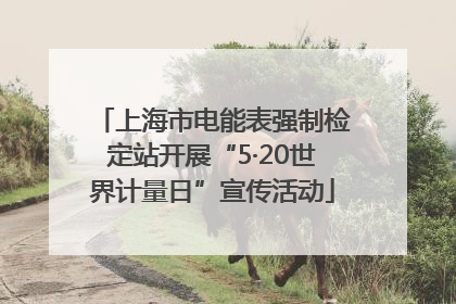 上海市电能表强制检定站开展“5·20世界计量日”宣传活动