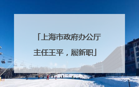 上海市政府办公厅主任王平，履新职