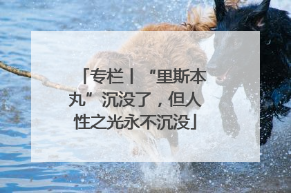 专栏丨“里斯本丸”沉没了，但人性之光永不沉没