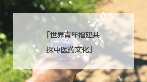 世界青年福建共探中医药文化