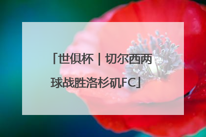 世俱杯｜切尔西两球战胜洛杉矶FC