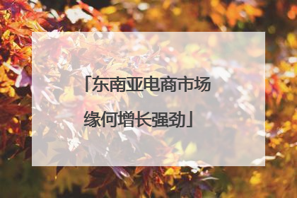 东南亚电商市场缘何增长强劲