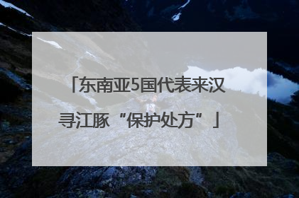 东南亚5国代表来汉寻江豚“保护处方”