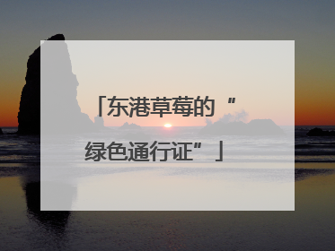 东港草莓的“绿色通行证”
