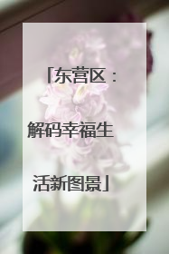 东营区：解码幸福生活新图景