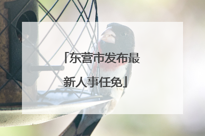 东营市发布最新人事任免