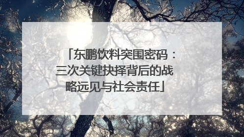 东鹏饮料突围密码：三次关键抉择背后的战略远见与社会责任