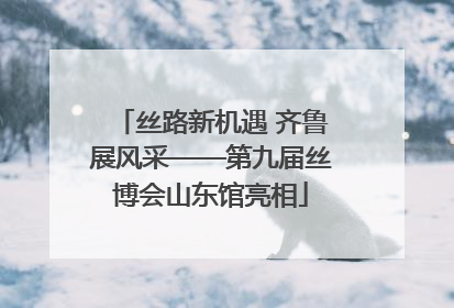 丝路新机遇 齐鲁展风采——第九届丝博会山东馆亮相