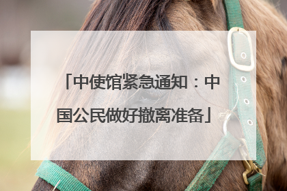 中使馆紧急通知：中国公民做好撤离准备