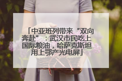 中亚班列带来“双向奔赴”：武汉市民吃上国际粮油，哈萨克斯坦用上鄂产光电屏