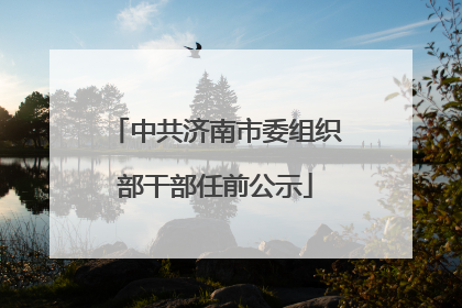 中共济南市委组织部干部任前公示