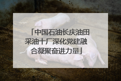 中国石油长庆油田采油十厂深化党建融合凝聚奋进力量