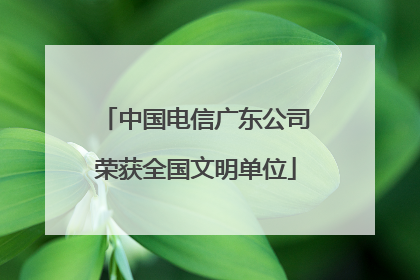 中国电信广东公司荣获全国文明单位