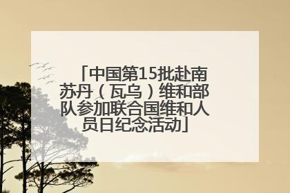 中国第15批赴南苏丹（瓦乌）维和部队参加联合国维和人员日纪念活动