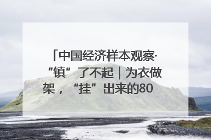 中国经济样本观察·“镇”了不起｜为衣做架，“挂”出来的80亿元“衣架产业”