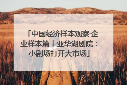 中国经济样本观察·企业样本篇︱亚华湖剧院：小剧场打开大市场