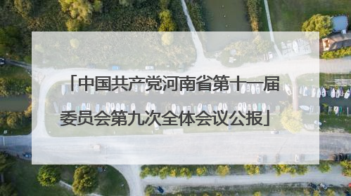 中国共产党河南省第十一届委员会第九次全体会议公报