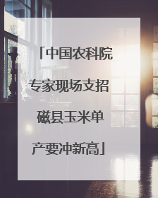 中国农科院专家现场支招 磁县玉米单产要冲新高