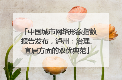 中国城市网络形象指数报告发布，泸州：治理、宜居方面的双优典范