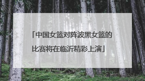 中国女篮对阵波黑女篮的比赛将在临沂精彩上演