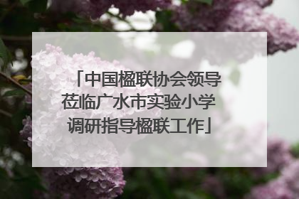 中国楹联协会领导莅临广水市实验小学调研指导楹联工作