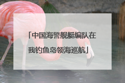 中国海警舰艇编队在我钓鱼岛领海巡航