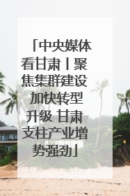 中央媒体看甘肃丨聚焦集群建设 加快转型升级 甘肃支柱产业增势强劲