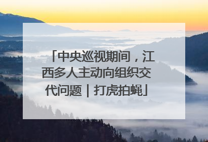 中央巡视期间，江西多人主动向组织交代问题｜打虎拍蝇