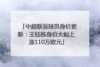 中超联赛球员身价更新：王钰栋身价大幅上涨110万欧元