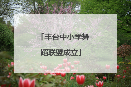 丰台中小学舞蹈联盟成立
