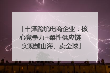 丰泽跨境电商企业：核心竞争力+柔性供应链 实现越山海、卖全球