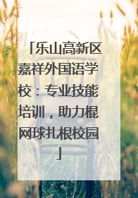 乐山高新区嘉祥外国语学校：专业技能培训，助力棍网球扎根校园