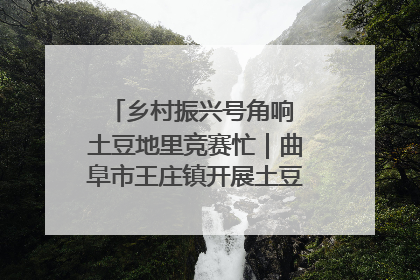 乡村振兴号角响 土豆地里竞赛忙｜曲阜市王庄镇开展土豆收获劳动竞赛