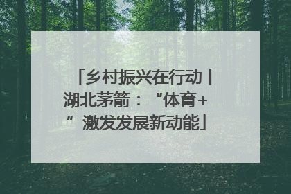 乡村振兴在行动丨湖北茅箭：“体育+”激发发展新动能