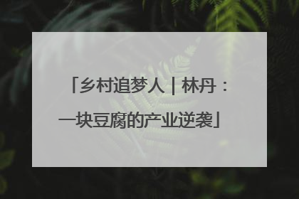乡村追梦人｜林丹：一块豆腐的产业逆袭