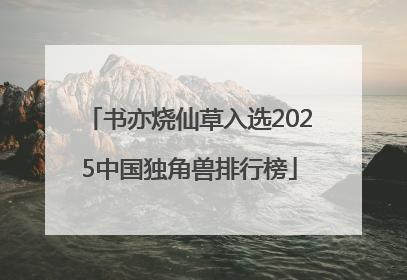 书亦烧仙草入选2025中国独角兽排行榜