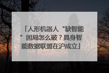 人形机器人“缺智能”困局怎么破？具身智能数据联盟在沪成立