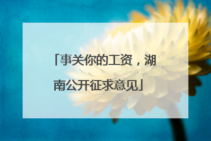 事关你的工资，湖南公开征求意见