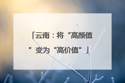 云南：将“高颜值”变为“高价值”