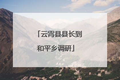 云霄县县长到和平乡调研