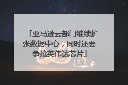 亚马逊云部门继续扩张数据中心，同时还要争抢英伟达芯片