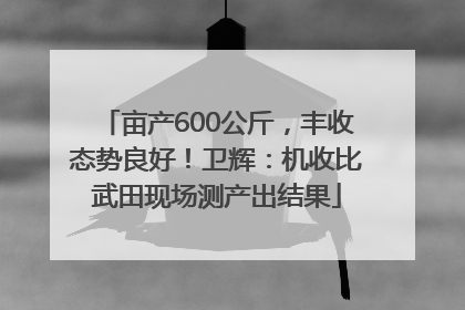 亩产600公斤，丰收态势良好！卫辉：机收比武田现场测产出结果