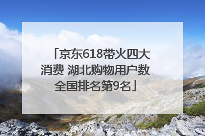 京东618带火四大消费 湖北购物用户数全国排名第9名