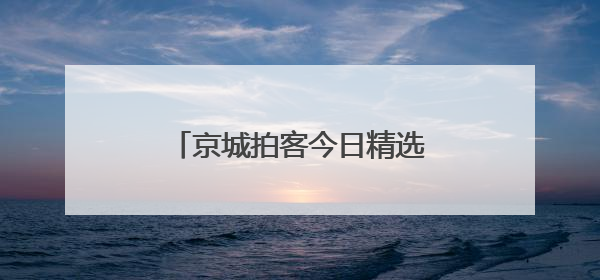 京城拍客今日精选｜蜻蜓早立尖尖角 尽赏夏荷气度华
