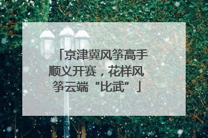 京津冀风筝高手顺义开赛，花样风筝云端“比武”