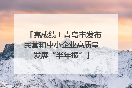 亮成绩！青岛市发布民营和中小企业高质量发展“半年报”