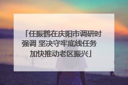 任振鹤在庆阳市调研时强调 坚决守牢底线任务 加快推动老区振兴