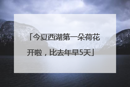 今夏西湖第一朵荷花开啦，比去年早5天