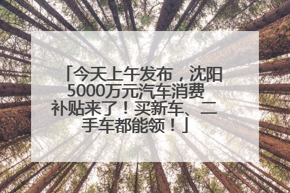 今天上午发布，沈阳5000万元汽车消费补贴来了！买新车、二手车都能领！