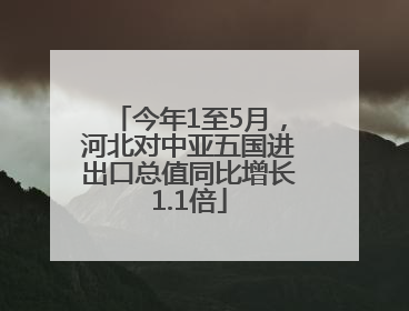 今年1至5月，河北对中亚五国进出口总值同比增长1.1倍